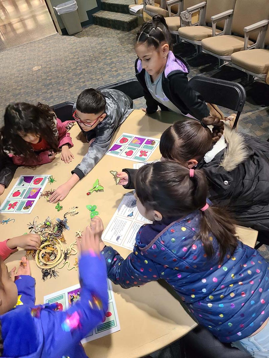 Children sorting plastic bugs